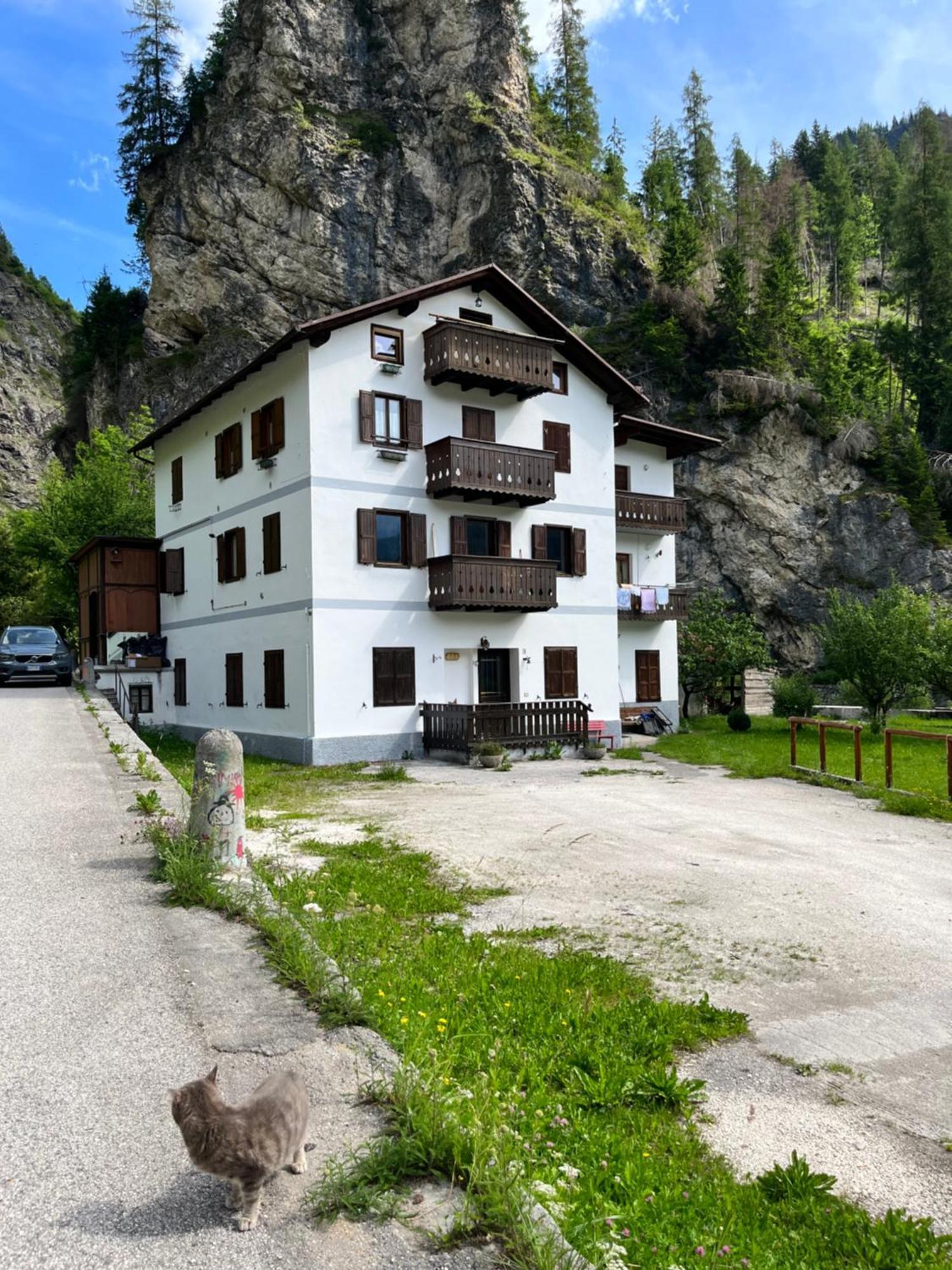 Casa Di Charme Sul Civetta Dolomiti Apartment Caprile  Exterior foto